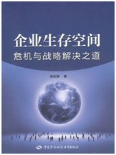 企业生存空间——危机与战略解决之道