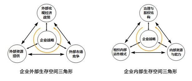 企业生存空间